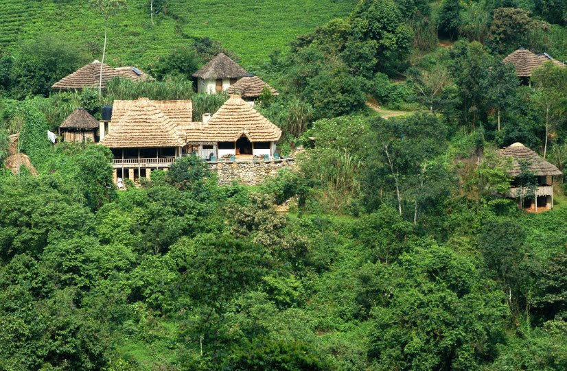 Mount Nabemba (Mont Nabemba), Sangha Region, DR Congo